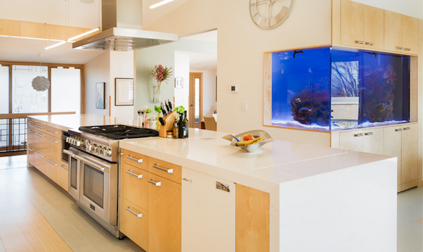 2015 Project of the Year, Silent Rivers Design+Build kitchen remodel