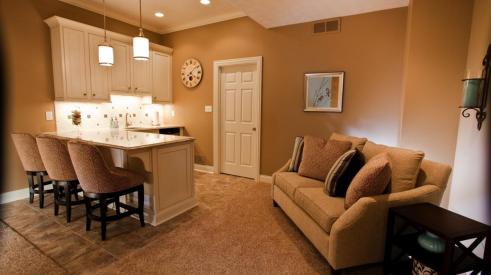 The lower level can be the most versatile area of a house when it comes to remodeling.