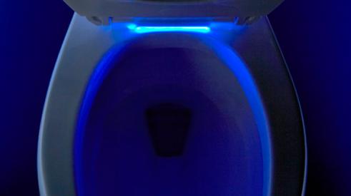Kohler Nightlight Toilet Seat
