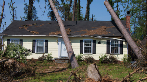 roof storm damage trees fallen